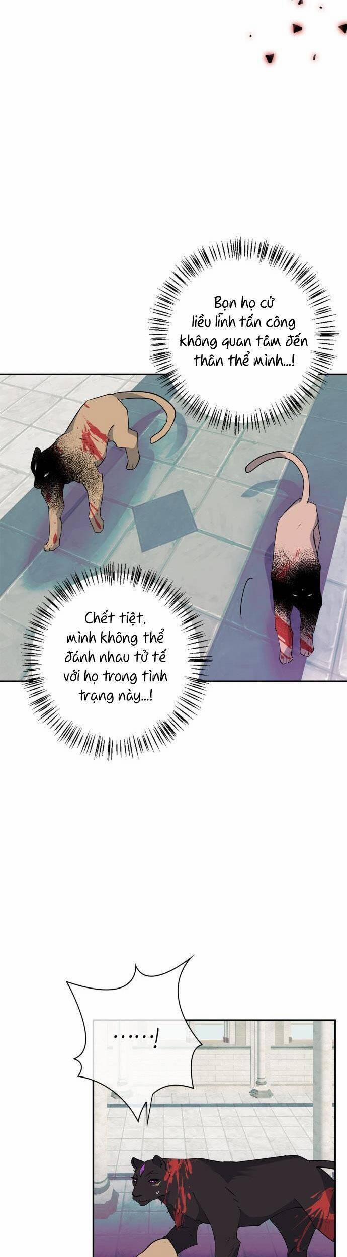 Thuần Hoá Quái Thú Thật Tốt 78 trang 66