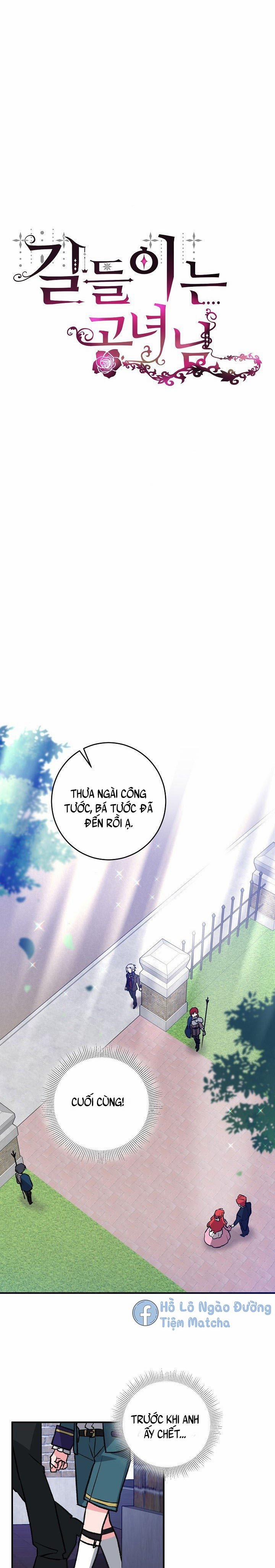 Thuần Hoá Quý Cô 3 trang 0