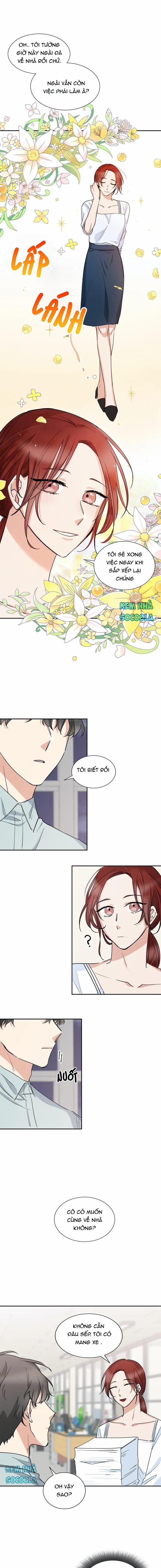 Thuần Phục Sếp Của Tôi 1 trang 42