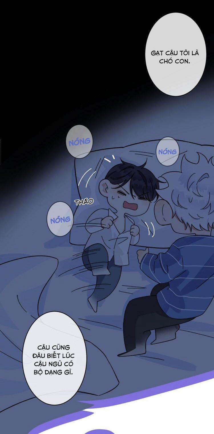 Thuần Phục 15 trang 1