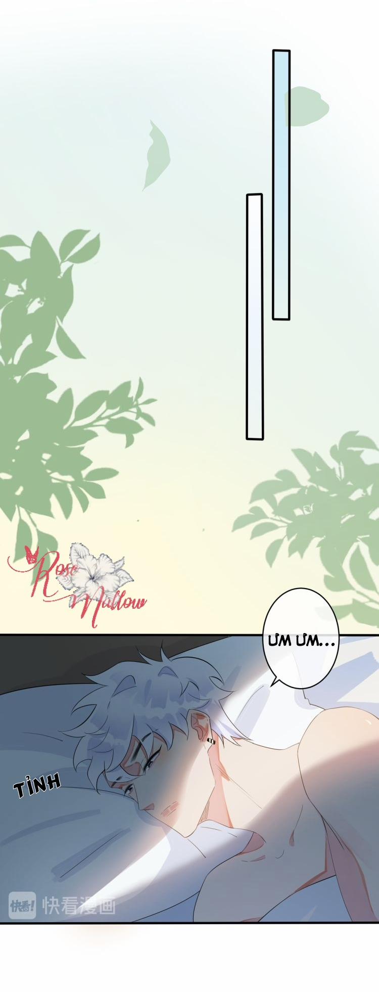 Thuần Phục 39 trang 13