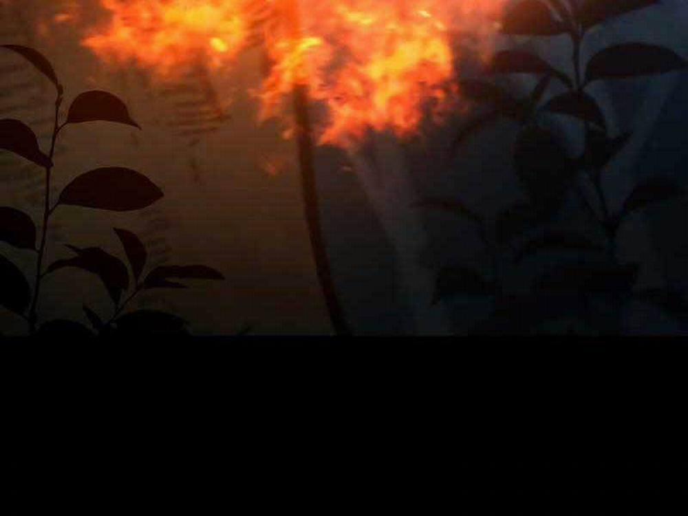 Thực Long Ma Pháp Sư 24 trang 209