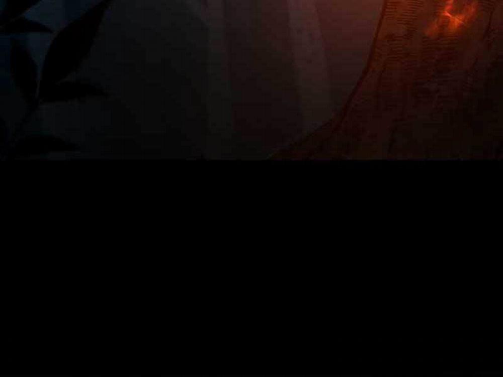 Thực Long Ma Pháp Sư 24 trang 212