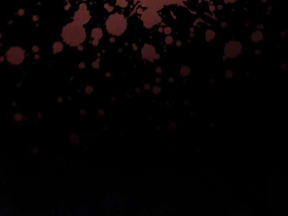 Thực Long Ma Pháp Sư 24 trang 49