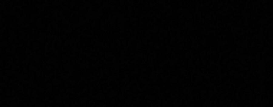 Thực Thư Pháp Sư 55.5 trang 28