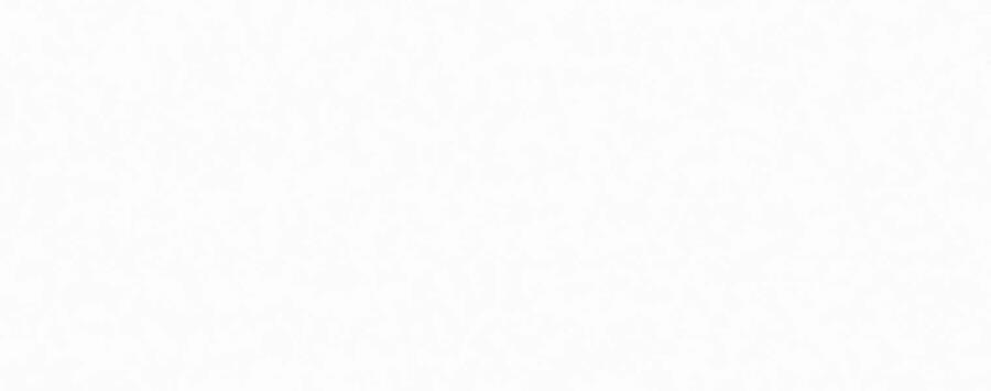 Thực Thư Pháp Sư 55 trang 101