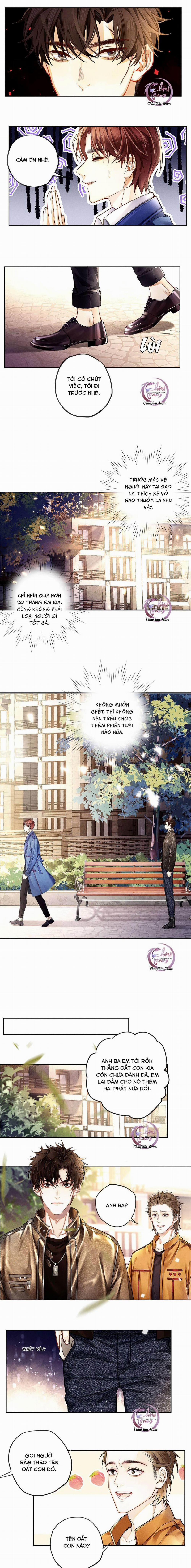 Thuốc Giải (END) 5 trang 2