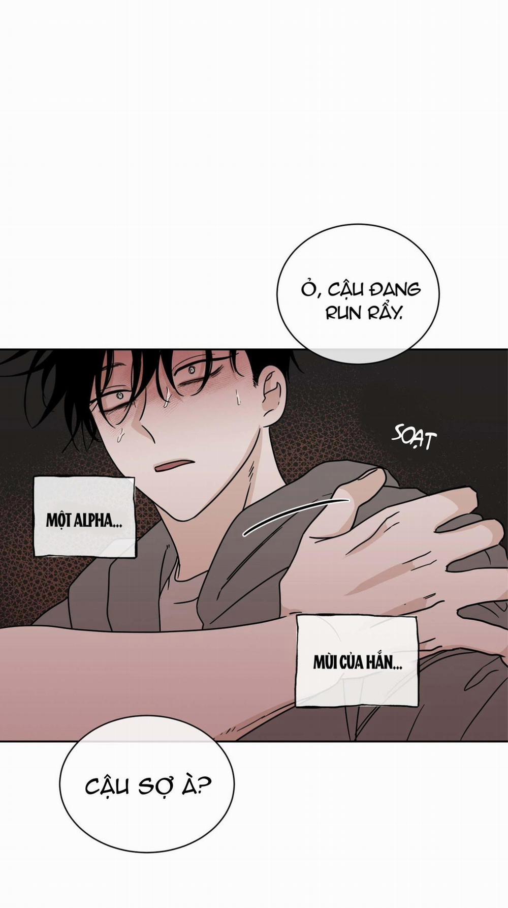 Thủy Triều Thấp Lúc Chạng Vạng 24 trang 21