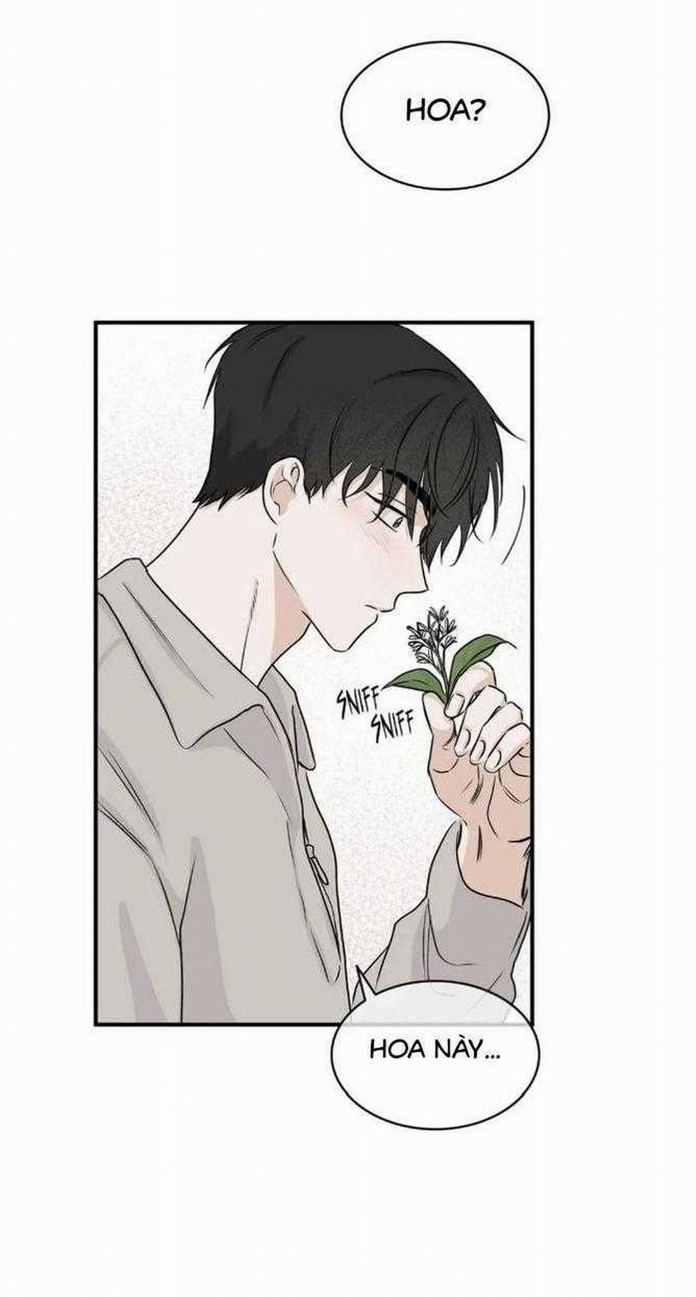 Thủy Triều Thấp Lúc Chạng Vạng 35 trang 31