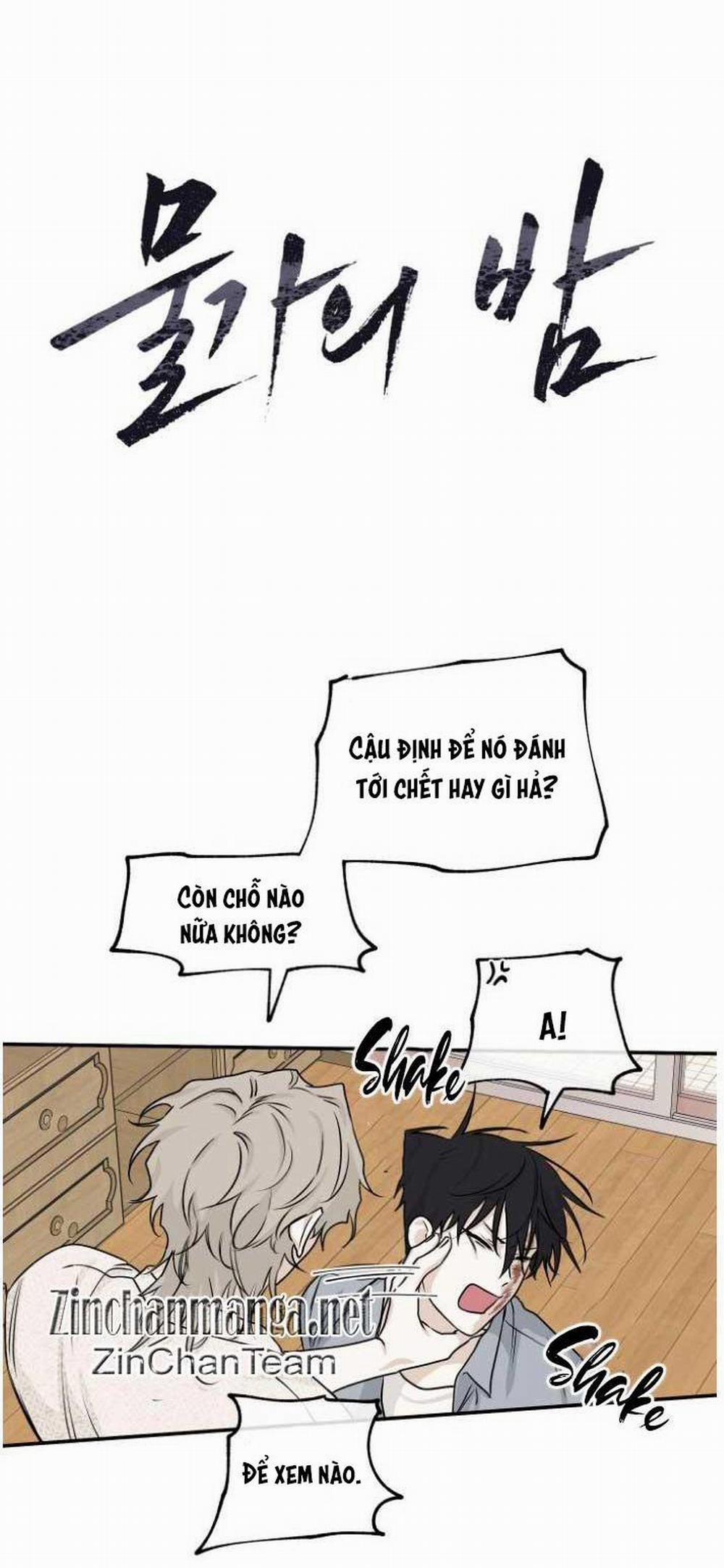 Thủy Triều Thấp Lúc Chạng Vạng 39 trang 3