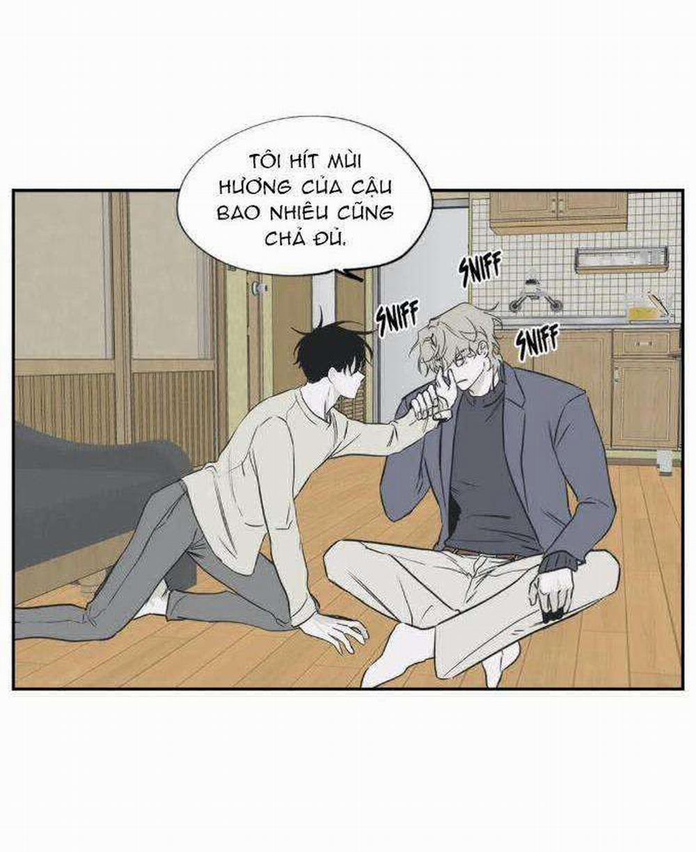 Thủy Triều Thấp Lúc Chạng Vạng 5 trang 44