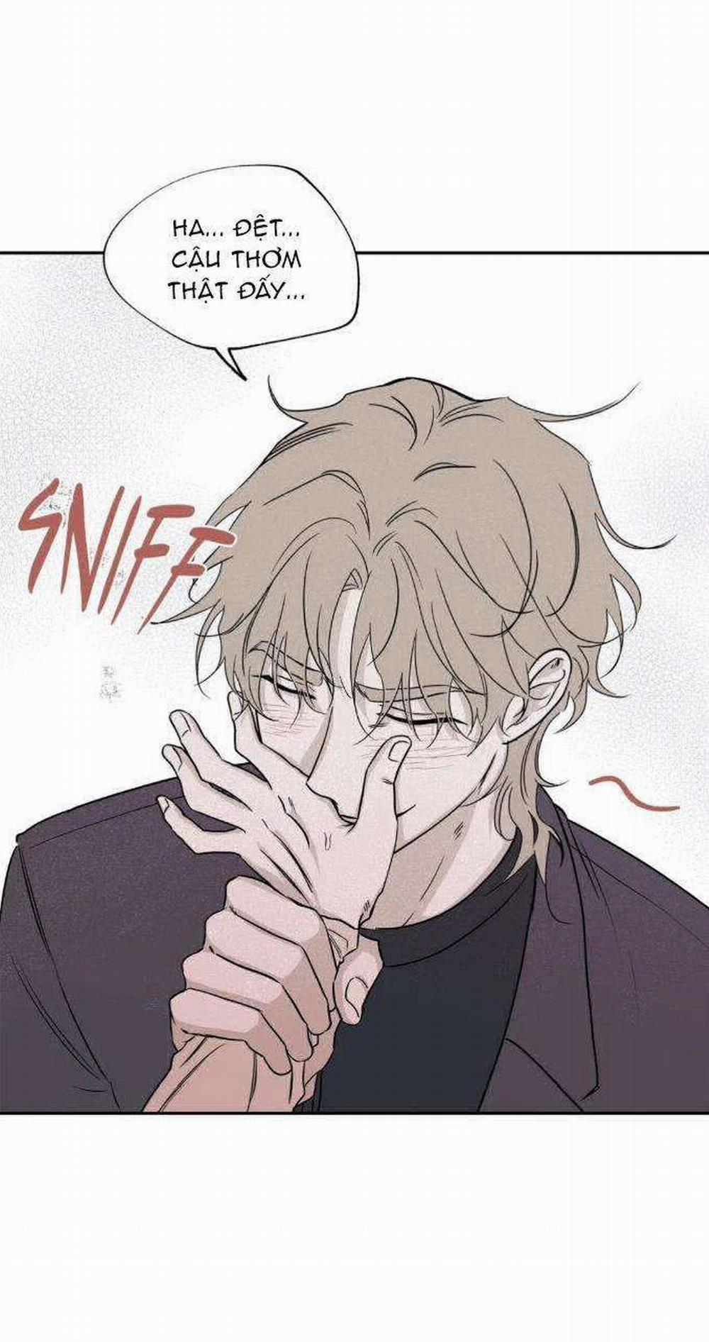 Thủy Triều Thấp Lúc Chạng Vạng 5 trang 45