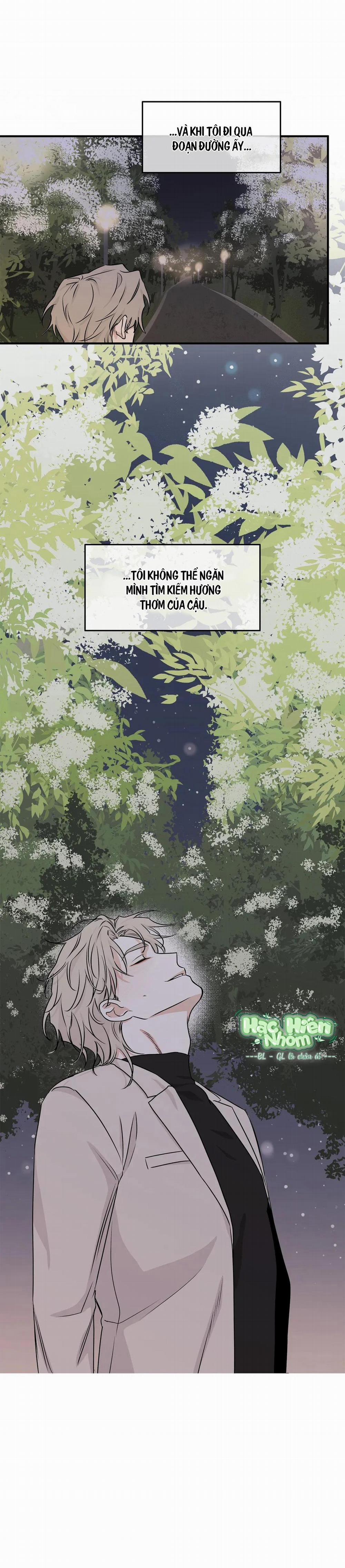 Thủy Triều Thấp Lúc Chạng Vạng 51 trang 27