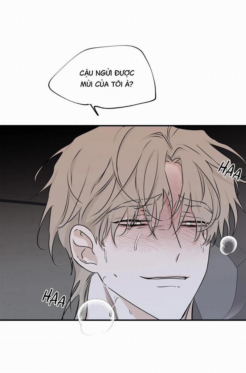 Thủy Triều Thấp Lúc Chạng Vạng 54 trang 58