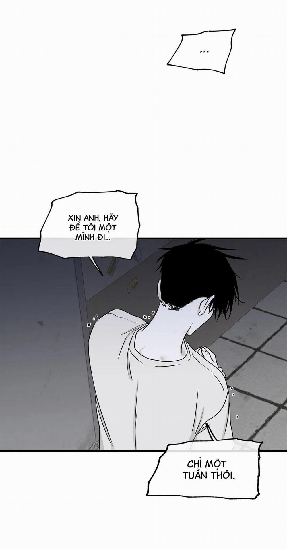 Thủy Triều Thấp Lúc Chạng Vạng 60 trang 14