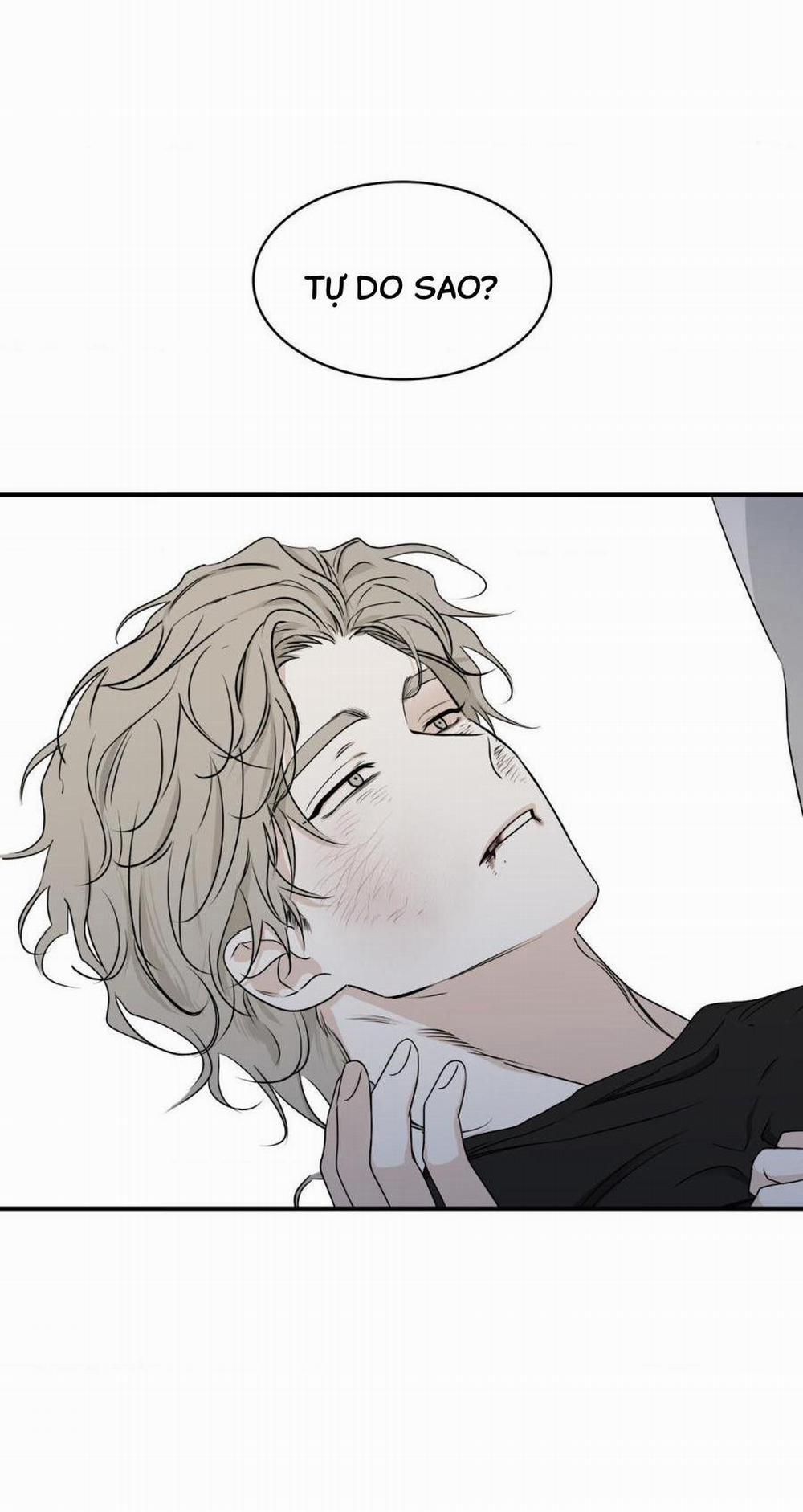 Thủy Triều Thấp Lúc Chạng Vạng 65 trang 19