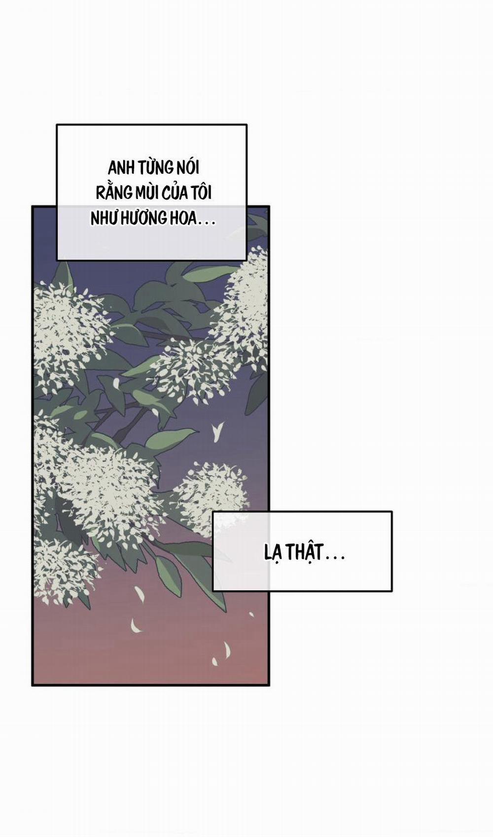 Thủy Triều Thấp Lúc Chạng Vạng 68 trang 23