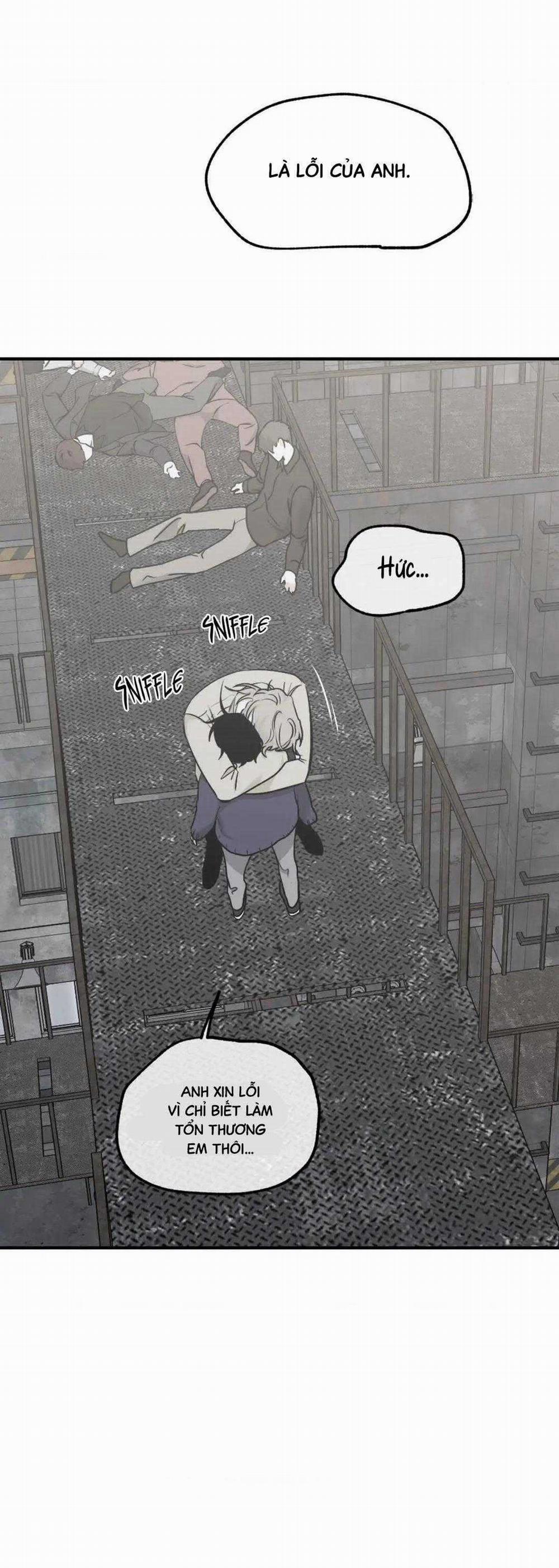 Thủy Triều Thấp Lúc Chạng Vạng 94 trang 49