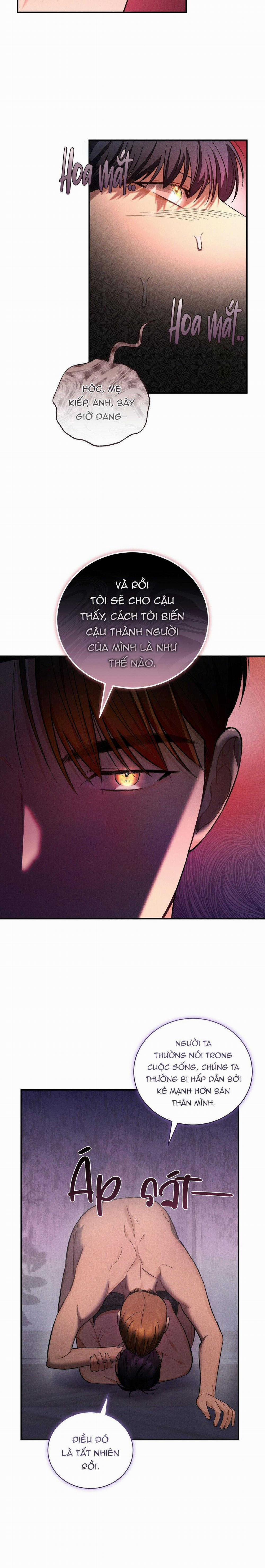 Thuyết Nhập Thực 21 trang 11