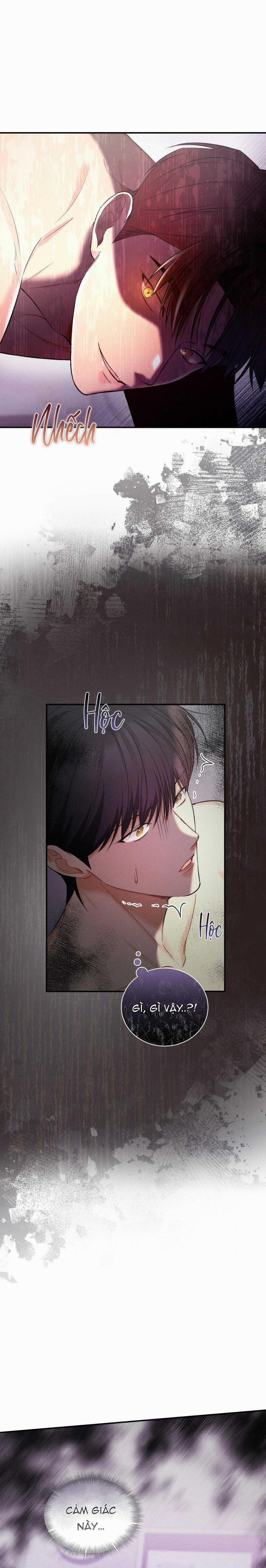 Thuyết Nhập Thực 21 trang 13