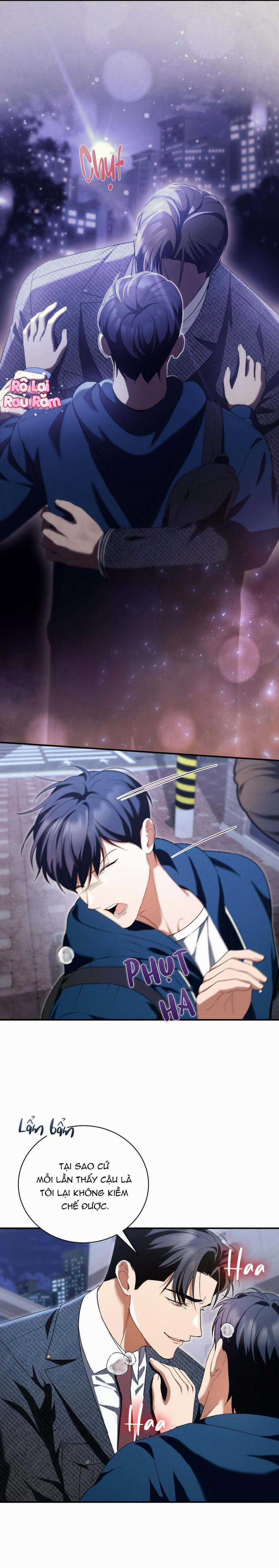 Thuyết Nhập Thực 31 trang 17