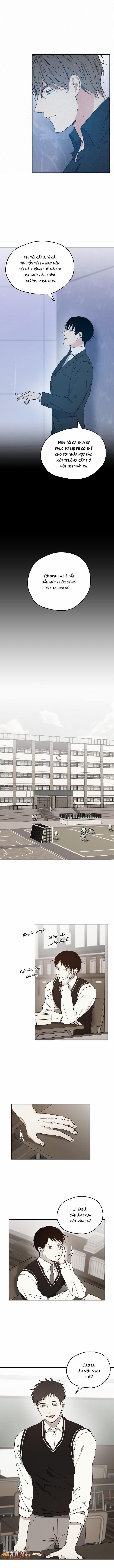 Tỉ Lệ Thành Công Của Tình Yêu Này Là Bao Nhiêu? 21 trang 3