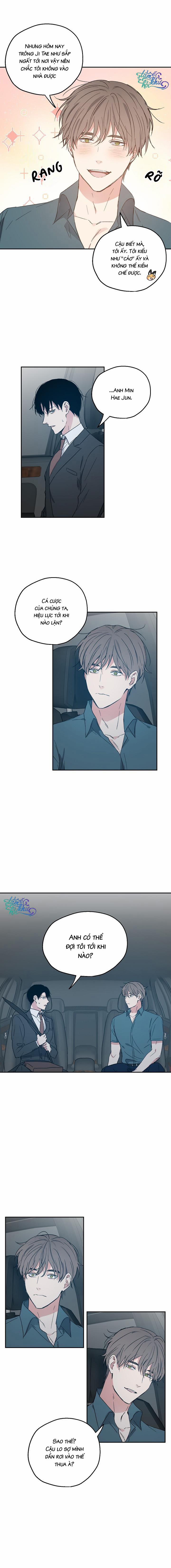 Tỉ Lệ Thành Công Của Tình Yêu Này Là Bao Nhiêu? 24 trang 1