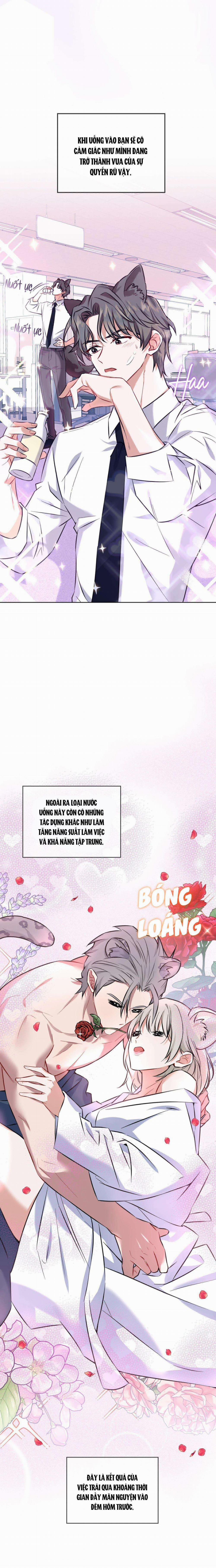 Tiệm Đồ Uống Cáo Nhỏ 1 trang 12