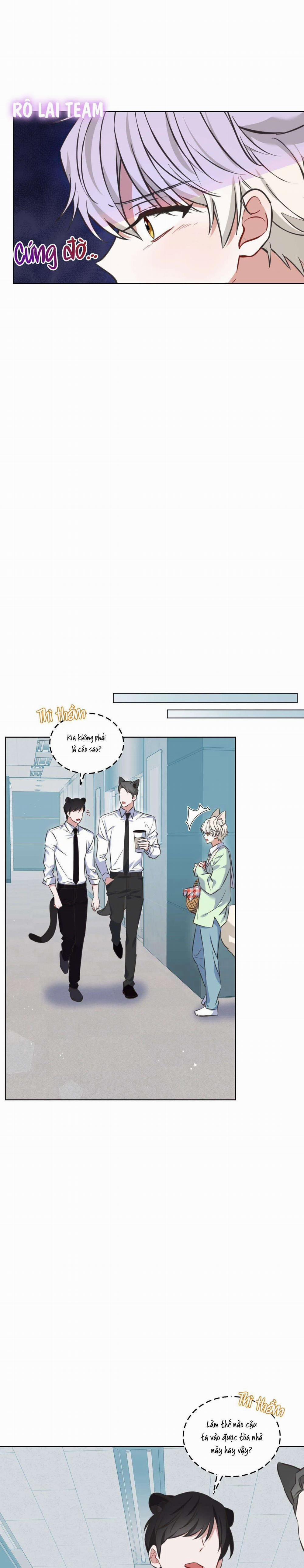 Tiệm Đồ Uống Cáo Nhỏ 1 trang 7