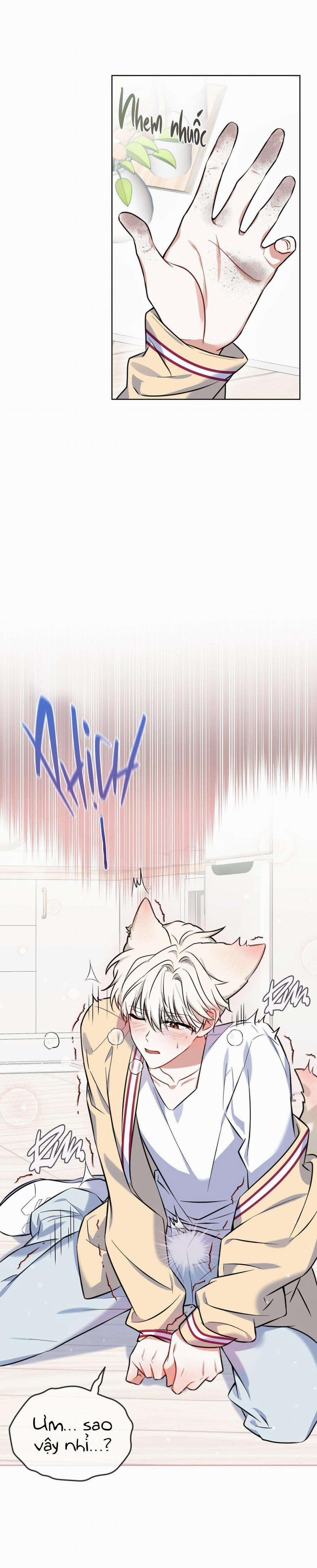 Tiệm Đồ Uống Cáo Nhỏ 2 trang 5