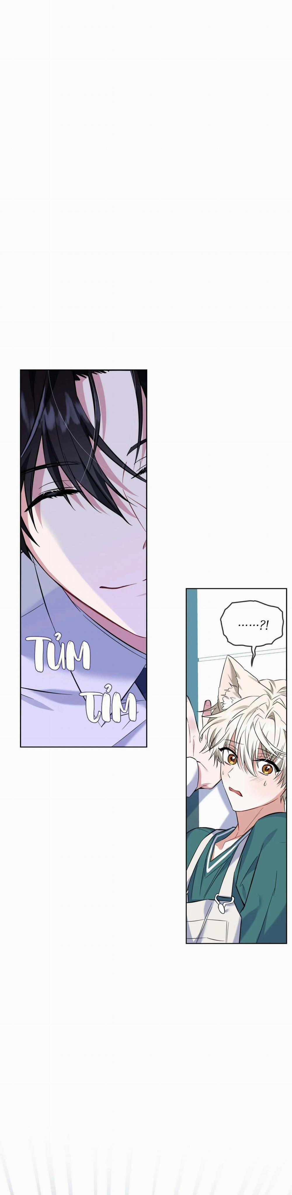 Tiệm Đồ Uống Cáo Nhỏ 3 trang 0