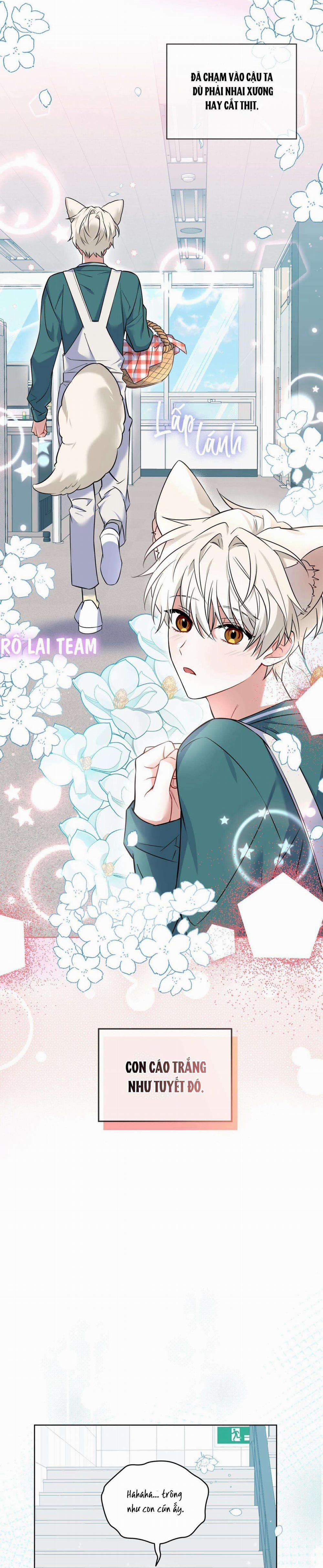 Tiệm Đồ Uống Cáo Nhỏ 4 trang 28