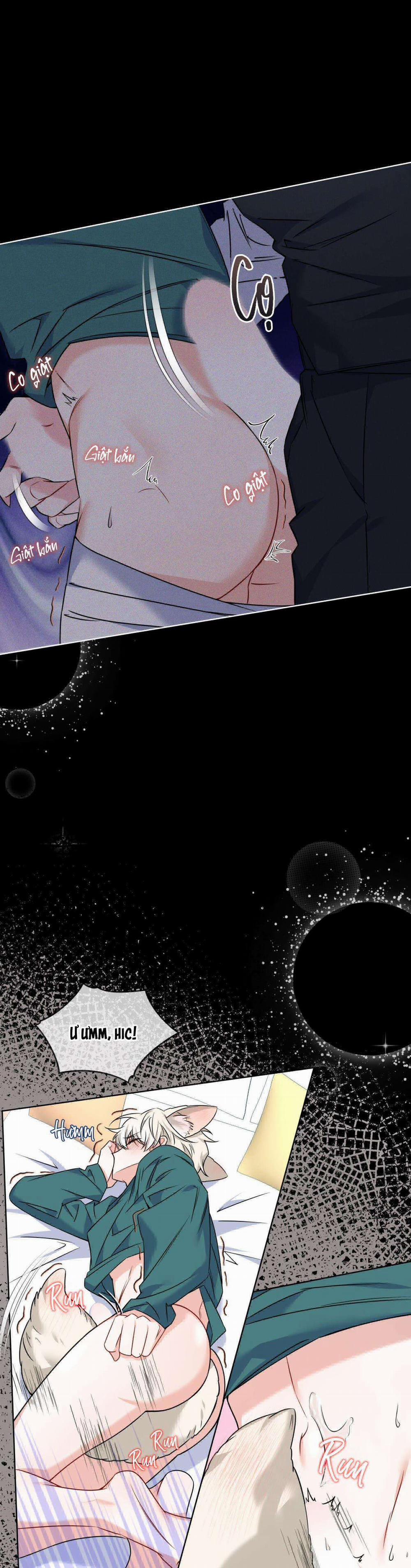 Tiệm Đồ Uống Cáo Nhỏ 6 trang 11