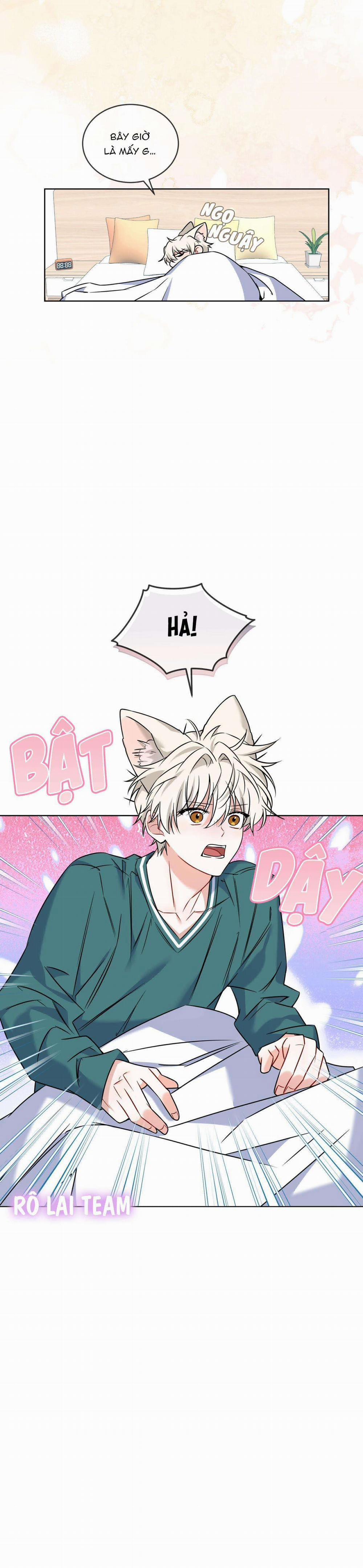 Tiệm Đồ Uống Cáo Nhỏ 6 trang 18