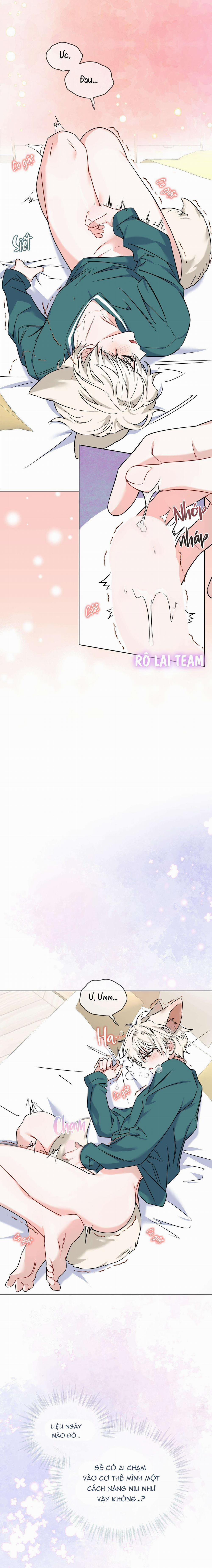 Tiệm Đồ Uống Cáo Nhỏ 6 trang 7