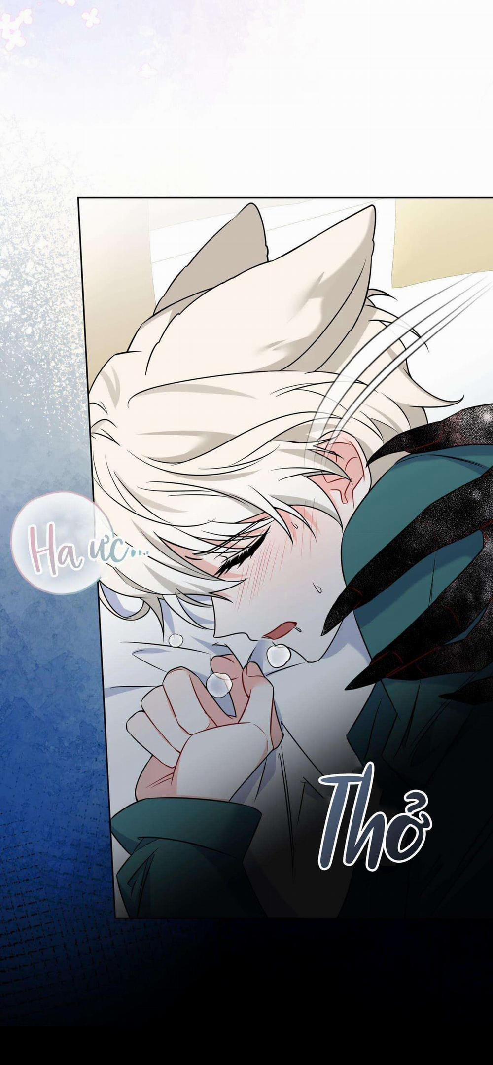 Tiệm Đồ Uống Cáo Nhỏ 6 trang 8