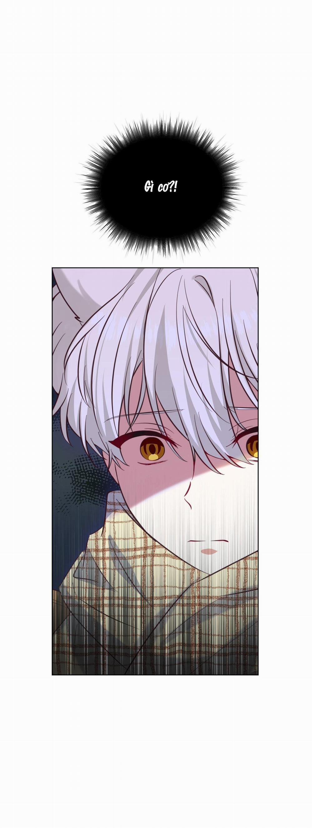 Tiệm đồ uống của cáo Flynn 0 trang 16