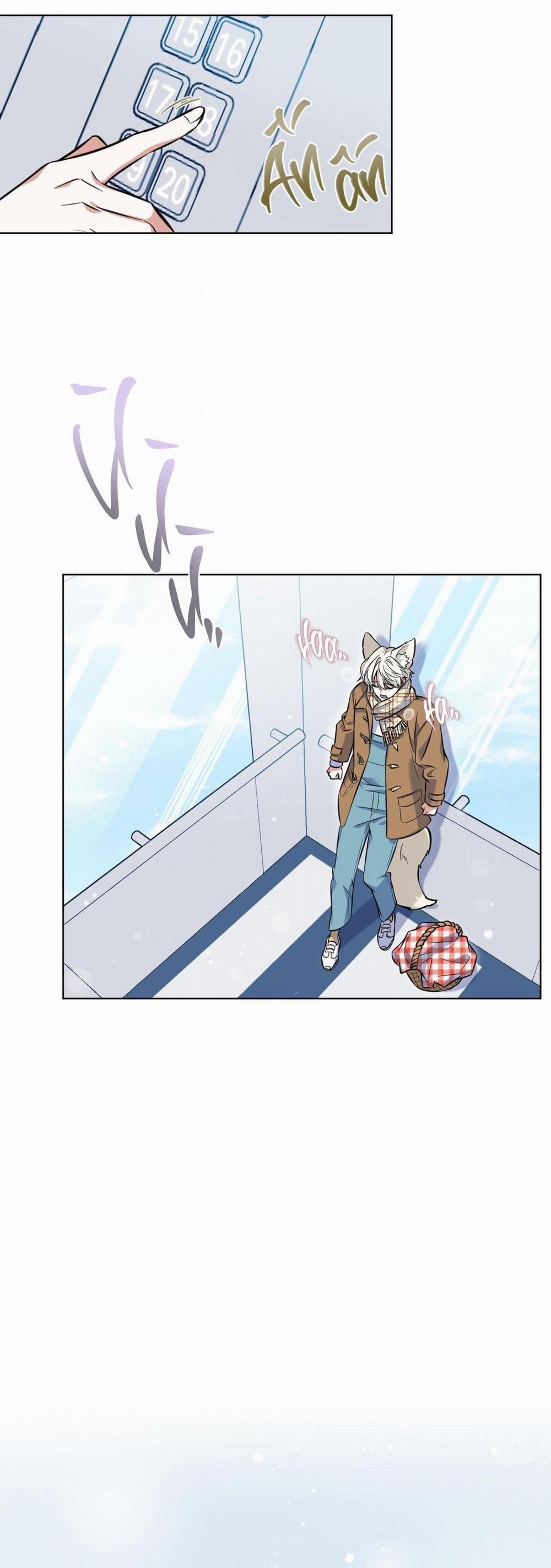 Tiệm đồ uống của cáo Flynn 0 trang 19