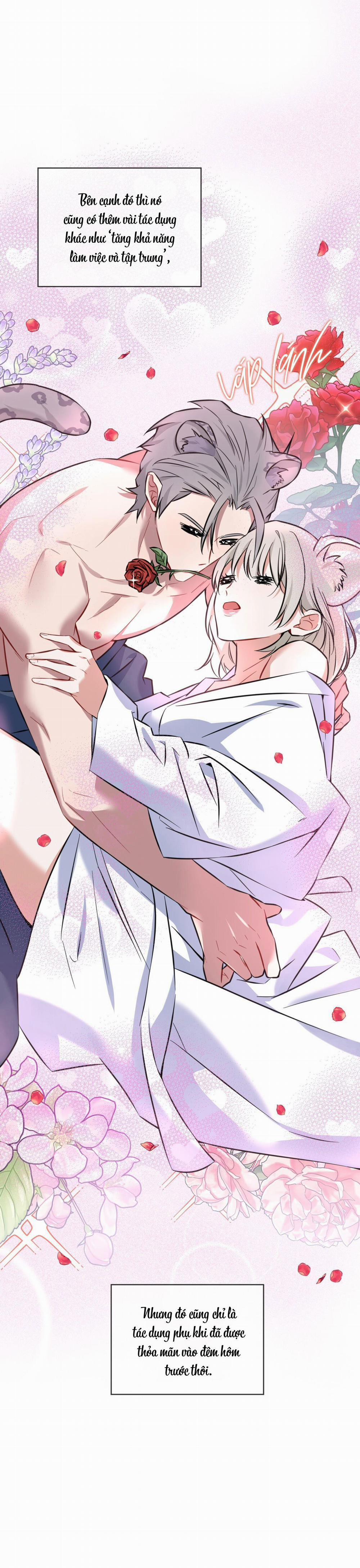 Tiệm đồ uống của cáo Flynn 1 trang 25