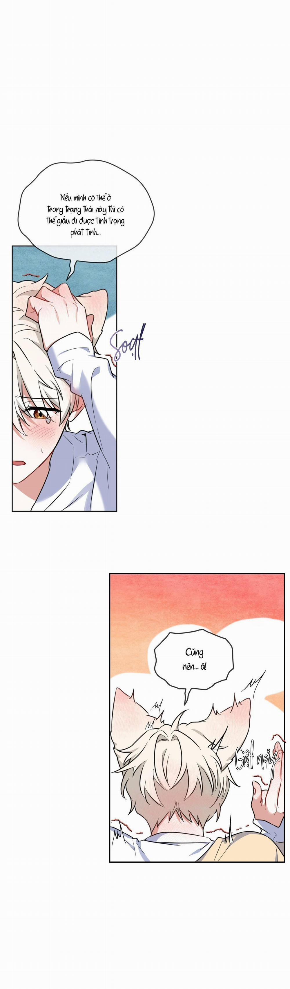 Tiệm đồ uống của cáo Flynn 2 trang 12