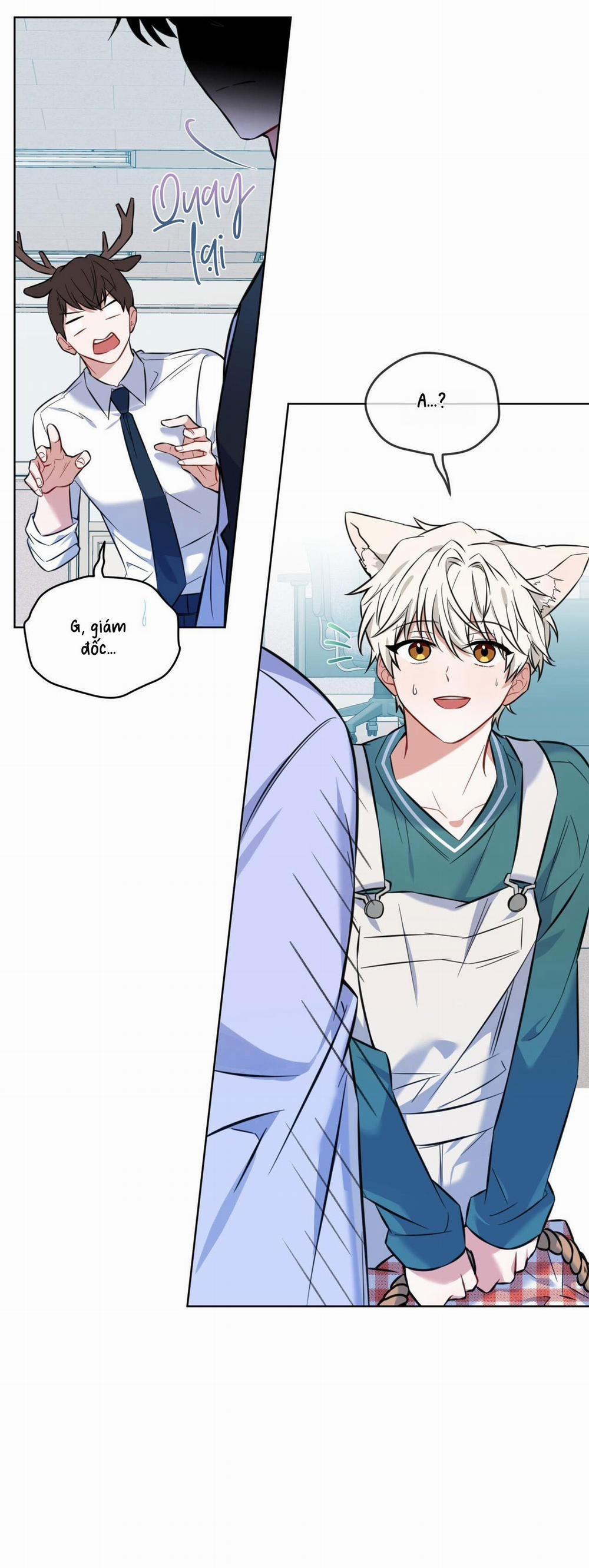 Tiệm đồ uống của cáo Flynn 2 trang 43