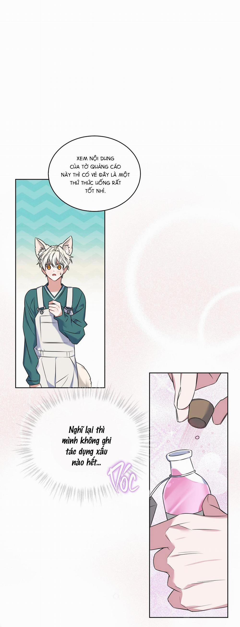 Tiệm đồ uống của cáo Flynn 3 trang 27