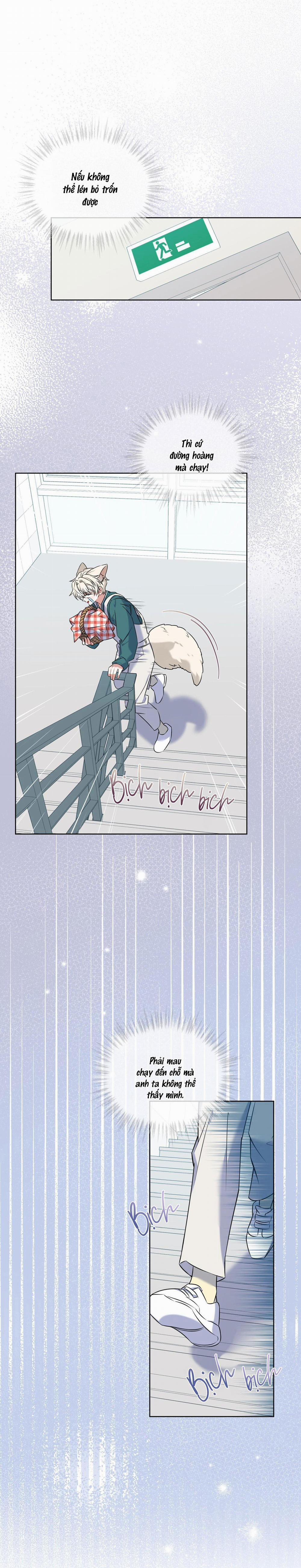 Tiệm đồ uống của cáo Flynn 4 trang 15