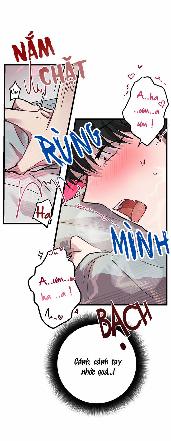 Tiệm Giặt Của Dae Hyun 5 trang 7