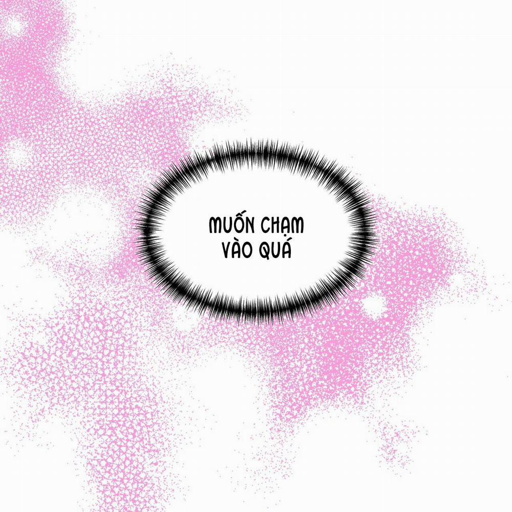 TIỀN BỐI, ANH LÀ OMEGA SAO!? 0 trang 42