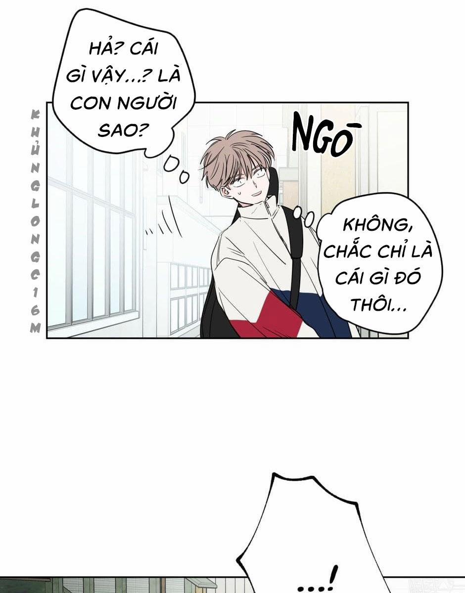 Tiền Bối, Chúng Ta Cần Nói Chuyện 22 trang 5