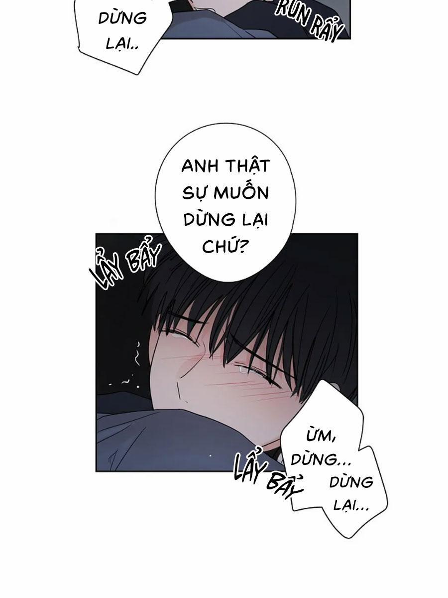 Tiền Bối, Chúng Ta Cần Nói Chuyện 28 trang 21