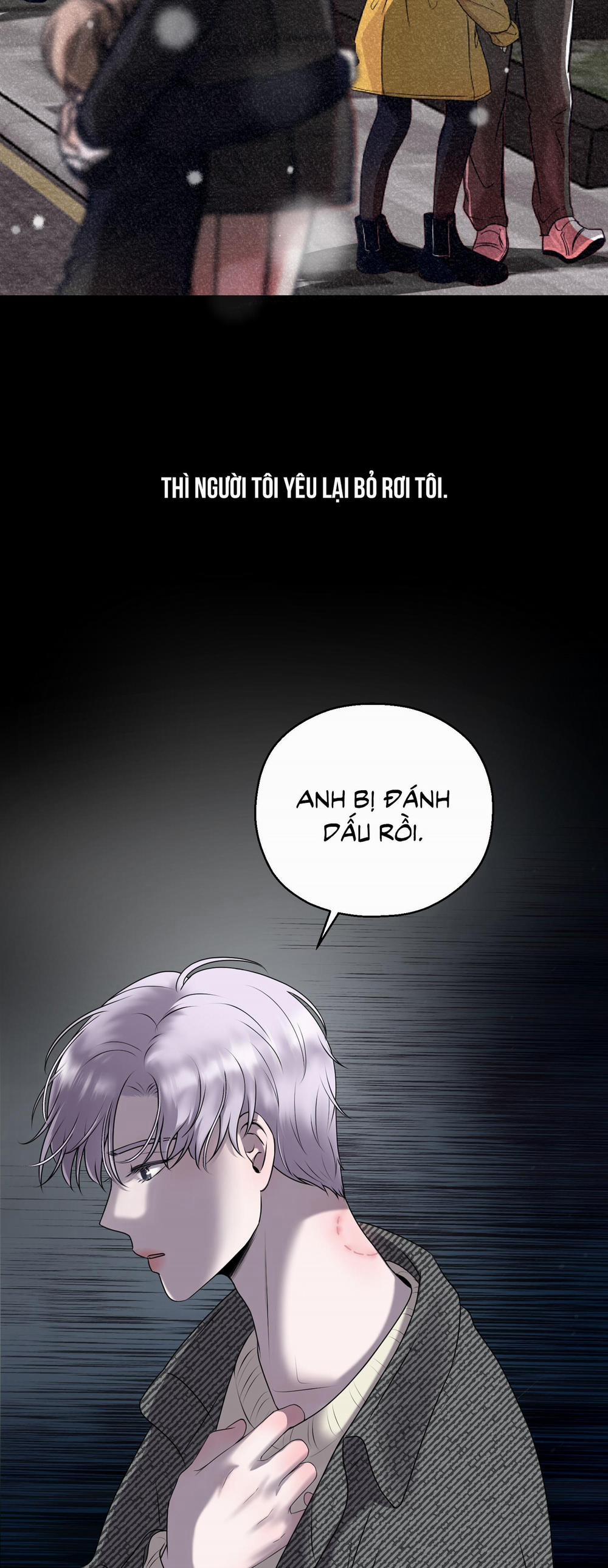 Tiền Bối Của Anh 0 trang 1