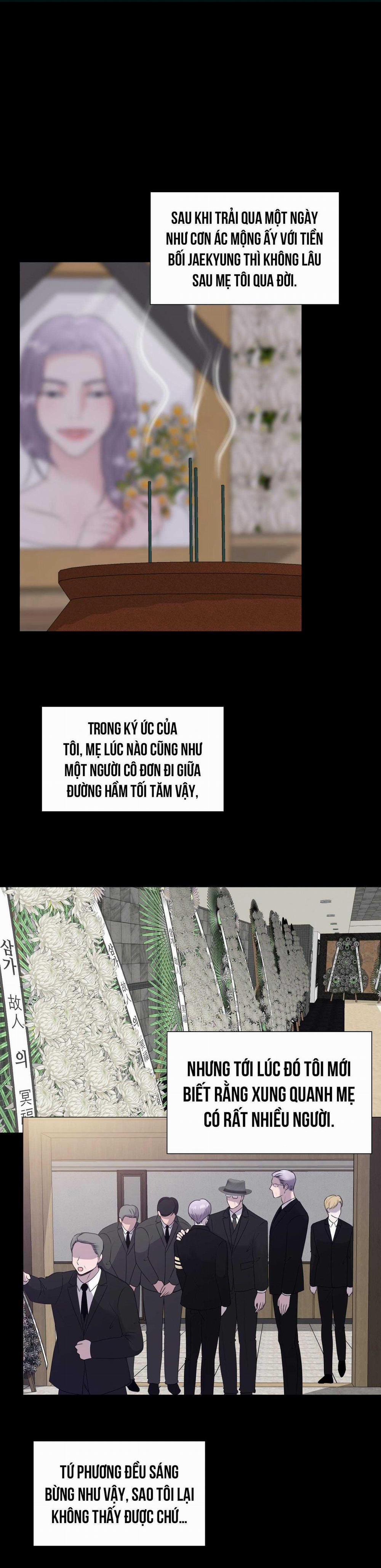 Tiền Bối Của Anh 11 trang 0