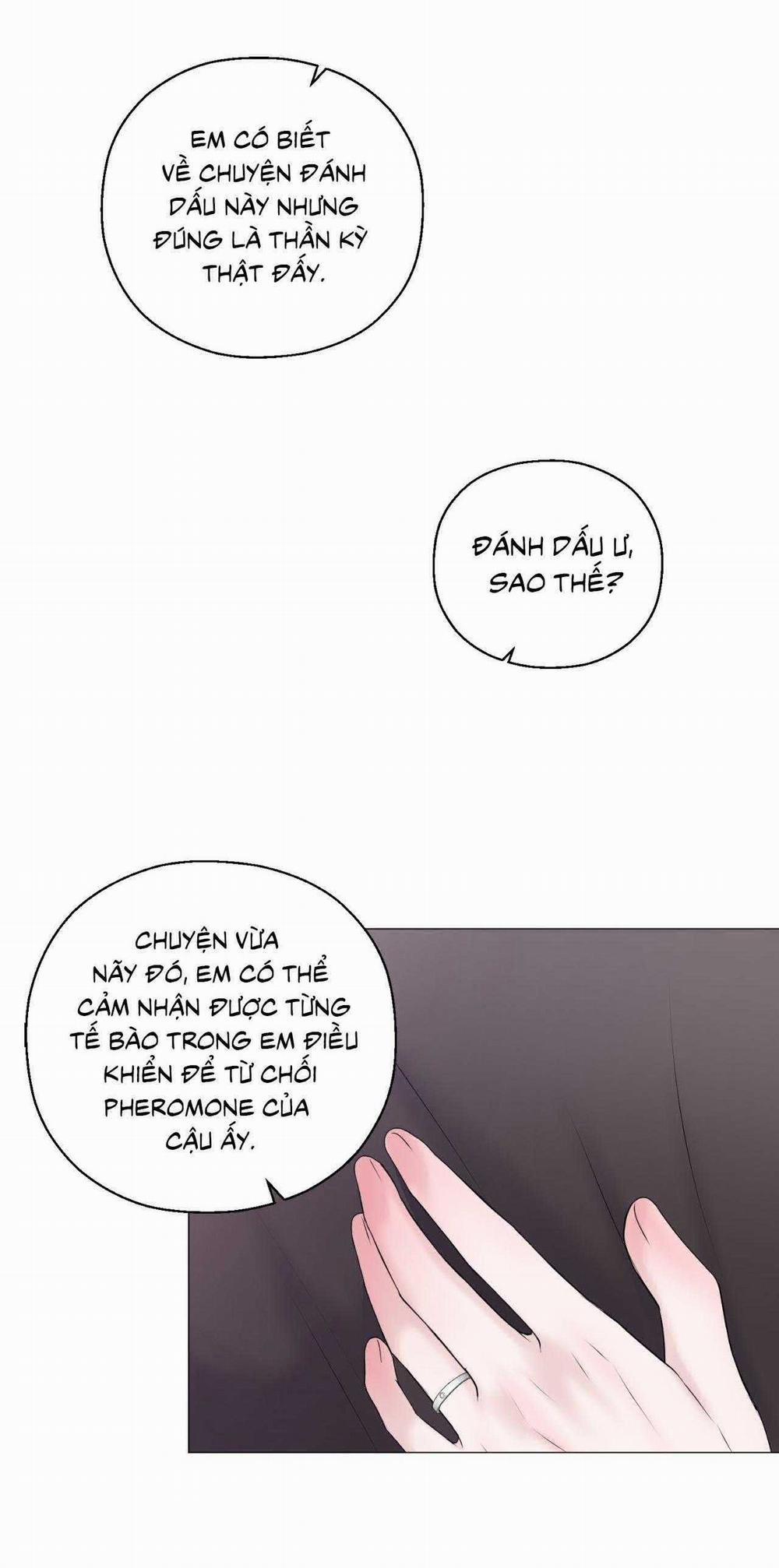 Tiền Bối Của Anh 14 trang 12